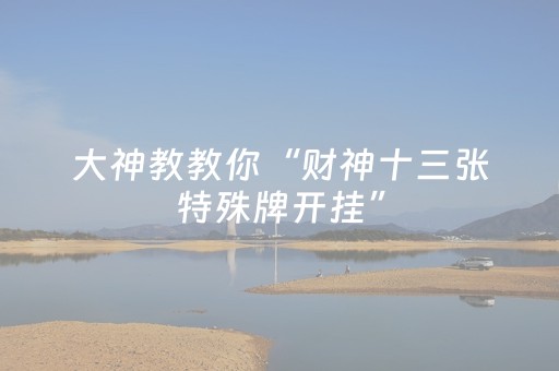 大神教教你“财神十三张特殊牌开挂”（提高胜率软件)