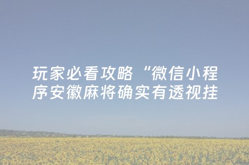 玩家必看攻略“微信小程序安徽麻将确实有透视挂”（自建房怎么赢)