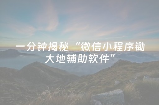 一分钟揭秘“微信小程序锄大地辅助软件”（充会员胜率高)