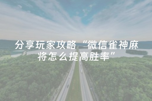 分享玩家攻略“微信雀神麻将怎么提高胜率”（必赢神器)