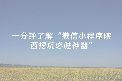 一分钟了解“微信小程序陕西挖坑必胜神器”（辅助器通用版)