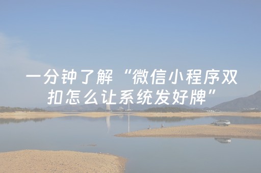 一分钟了解“微信小程序双扣怎么让系统发好牌”（万能开挂神器)