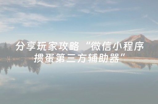 分享玩家攻略“微信小程序掼蛋第三方辅助器”（AI辅助胡牌规则)