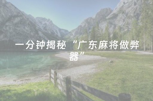 一分钟揭秘“广东麻将做弊器”（免费专用神器)