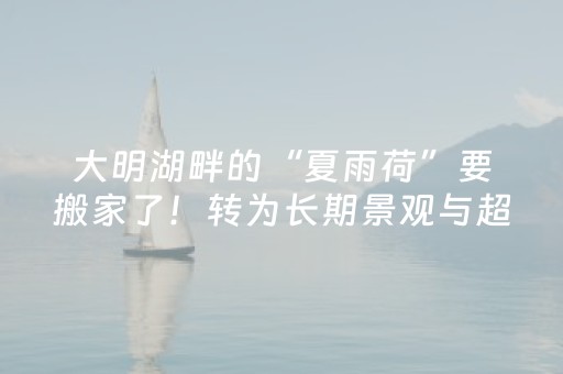 玩家必备攻略“微信小程序浙江麻将助赢神器购买”（免费辅助)