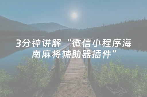 3分钟讲解“微信小程序海南麻将辅助器插件”（AI辅助胡牌规则)