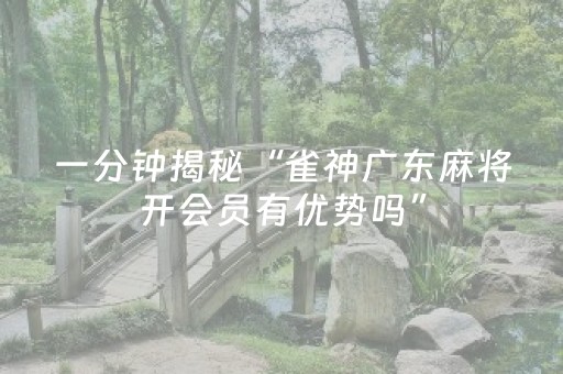 一分钟揭秘“雀神广东麻将开会员有优势吗”（外辅工具)
