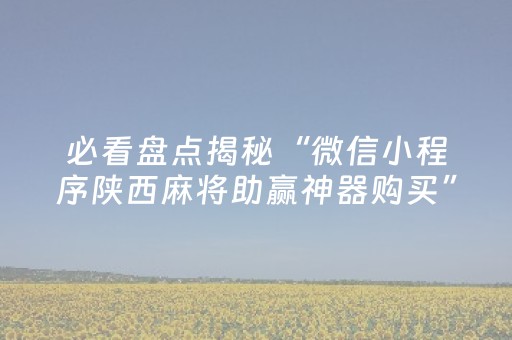 必看盘点揭秘“微信小程序陕西麻将助赢神器购买”（开挂辅助插件)