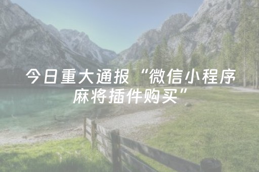 今日重大通报“微信小程序麻将插件购买”（软件出售)