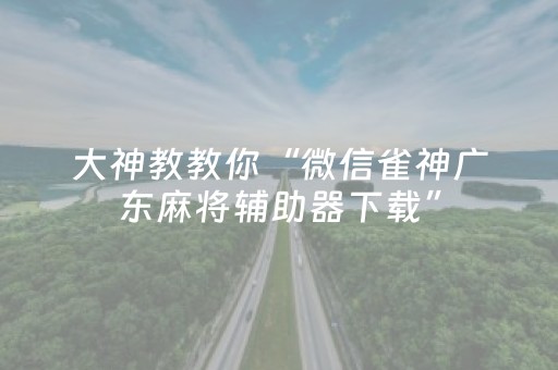 大神教教你“微信雀神广东麻将辅助器下载”（怎么能得到好牌)