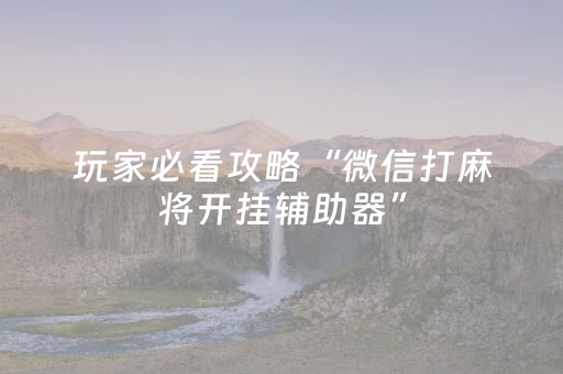 玩家必看攻略“微信打麻将开挂辅助器”（怎么能让牌好一点)