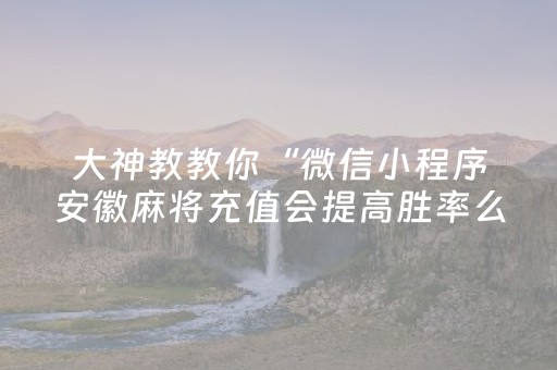 大神教教你“微信小程序安徽麻将充值会提高胜率么”（免费专用神器)