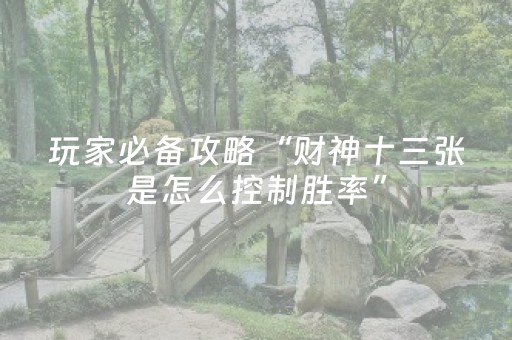 玩家必备攻略“财神十三张是怎么控制胜率”（免费专用神器)