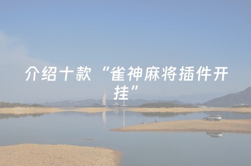 介绍十款“雀神麻将插件开挂”（怎么能得到好牌)