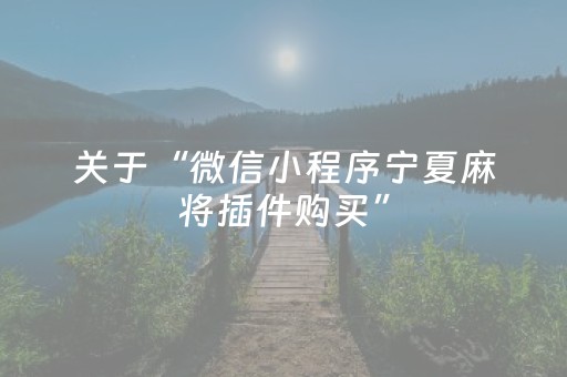 关于“微信小程序宁夏麻将插件购买”（辅助器插件)