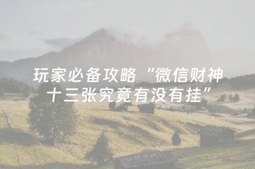 玩家必备攻略“微信财神十三张究竟有没有挂”（AI辅助胡牌规则)