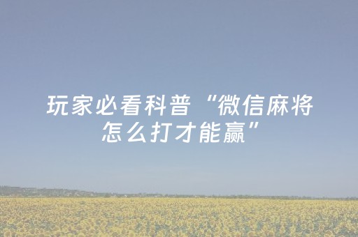 玩家必看科普“微信麻将怎么打才能赢”（开挂辅助插件)