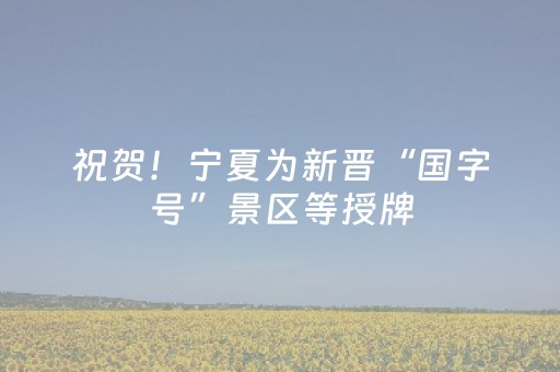祝贺！宁夏为新晋“国字号”景区等授牌