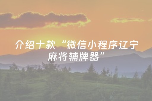 介绍十款“微信小程序辽宁麻将辅牌器”（软件出售)