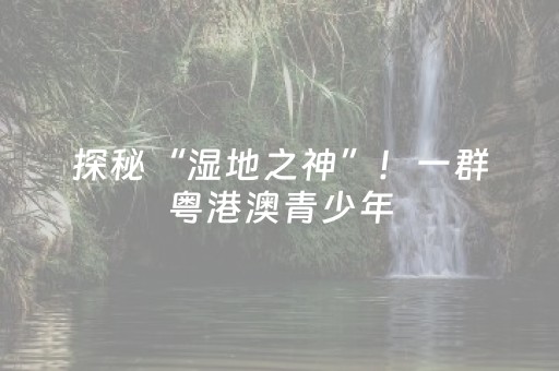 7分钟揭秘“麻将怎样增加胜率”（助赢神器购买)