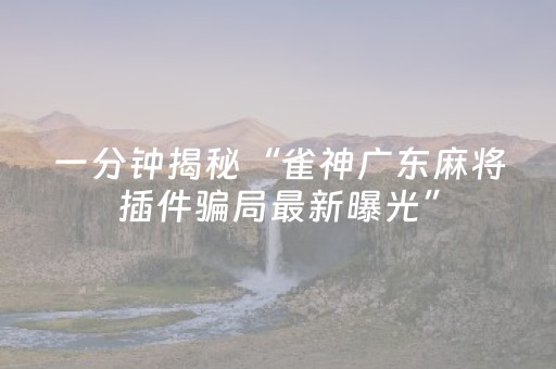 一分钟揭秘“雀神广东麻将插件骗局最新曝光”（插件可信吗)