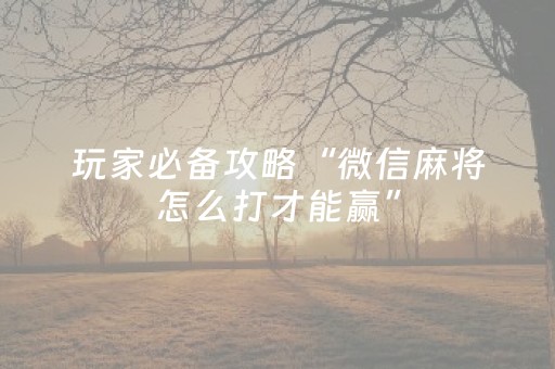 玩家必备攻略“微信麻将怎么打才能赢”（外辅工具)