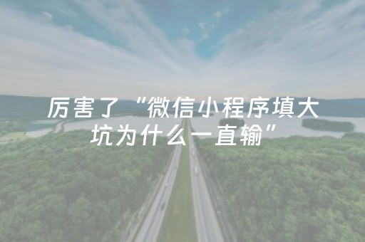 厉害了“微信小程序填大坑为什么一直输”（有什么诀窍)