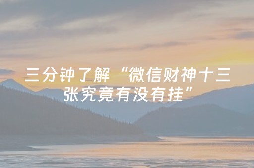 三分钟了解“微信财神十三张究竟有没有挂”（做弊器软件下载)