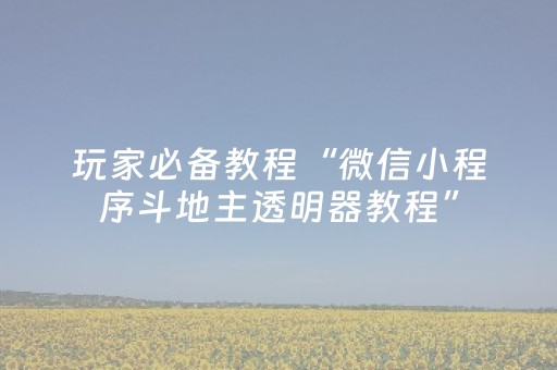 玩家必备教程“微信小程序斗地主透明器教程”（万能开挂器)
