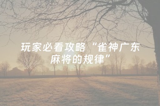 玩家必看攻略“雀神广东麻将的规律”（免费专用神器)