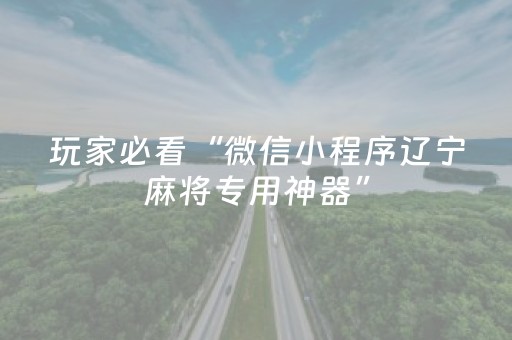 玩家必看“微信小程序辽宁麻将专用神器”（软件出售)
