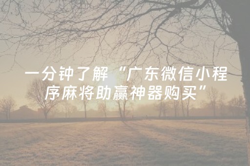 一分钟了解“广东微信小程序麻将助赢神器购买”（自建房怎么拿好牌)