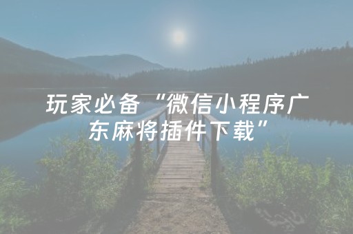 玩家必备“微信小程序广东麻将插件下载”（通用挂软件多少钱)