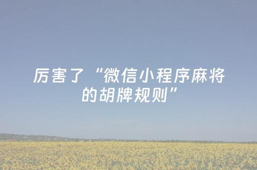 厉害了“微信小程序麻将的胡牌规则”（辅牌器插件购买)