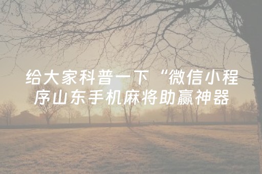 给大家科普一下“微信小程序山东手机麻将助赢神器”（确实有插件吗)