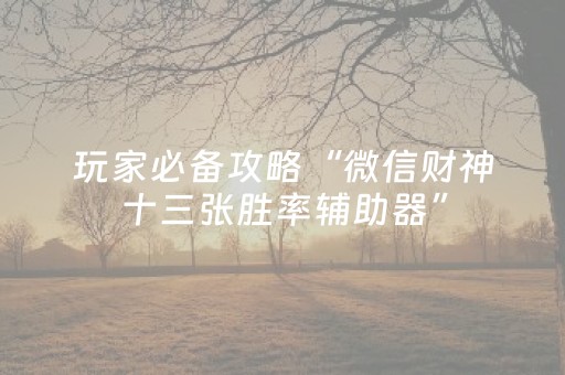 玩家必备攻略“微信财神十三张胜率辅助器”（胜负规律拿好牌)