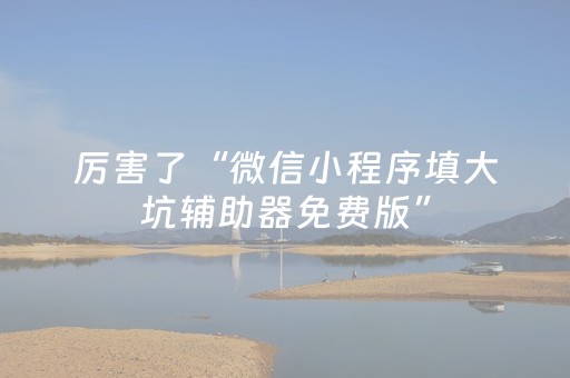 厉害了“微信小程序填大坑辅助器免费版”（充值会提高胜率么)