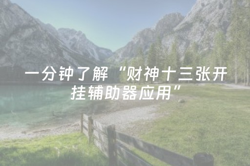 一分钟了解“财神十三张开挂辅助器应用”（辅助器插件)