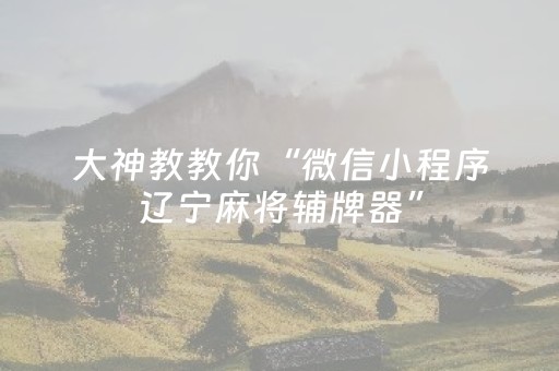大神教教你“微信小程序辽宁麻将辅牌器”（可以设置输赢吗)