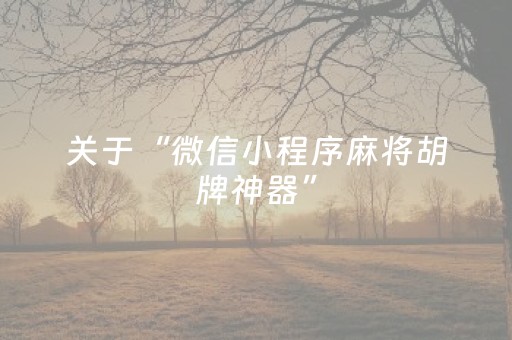 关于“微信小程序麻将胡牌神器”（确实有插件吗)