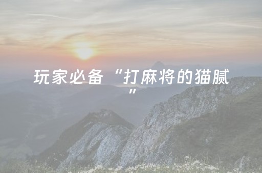 玩家必备“打麻将的猫腻”（辅助神器免费)