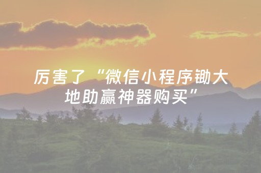 厉害了“微信小程序锄大地助赢神器购买”（开挂神器下载)