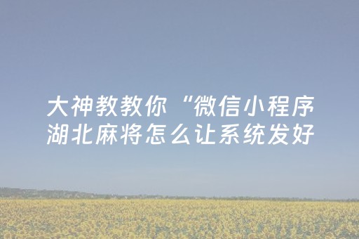 大神教教你“微信小程序湖北麻将怎么让系统发好牌”（神器通用版)