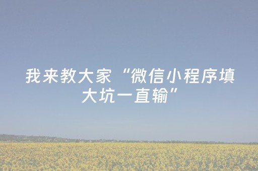 我来教大家“微信小程序填大坑一直输”（辅助器下载)