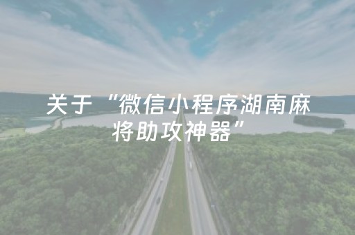 关于“微信小程序湖南麻将助攻神器”（外辅工具)