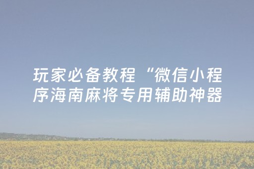 玩家必备教程“微信小程序海南麻将专用辅助神器”（装挂怎么安装)