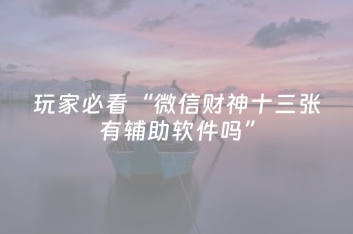 玩家必看“微信财神十三张有辅助软件吗”（胜率到哪调)