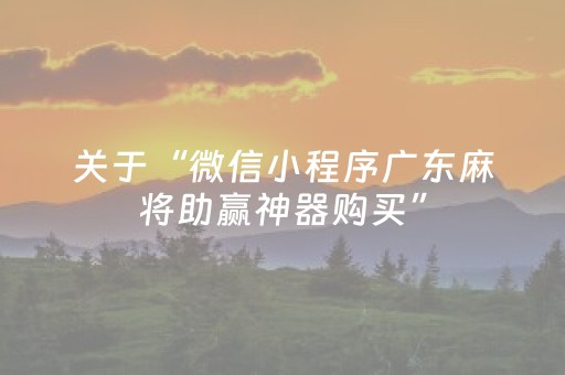 关于“微信小程序广东麻将助赢神器购买”（怎么让系统给自己好牌)