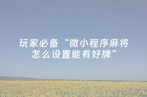 玩家必备“微小程序麻将怎么设置能有好牌”（控牌神器)