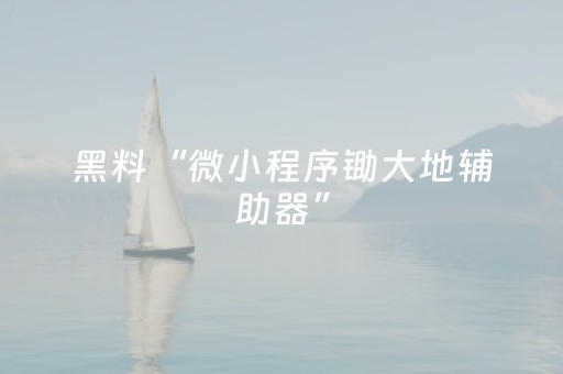 黑料“微小程序锄大地辅助器”（是否能开挂)